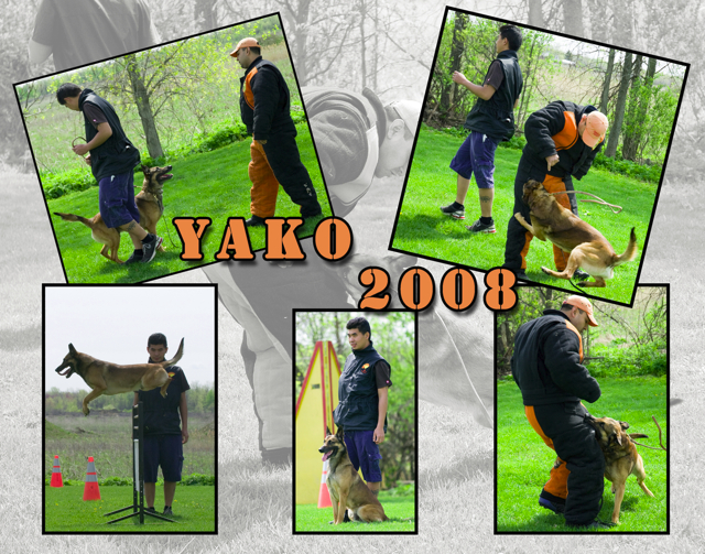 FrenchRingYako2008